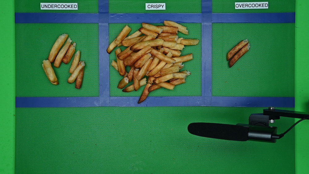 The Ninja Foodi DZ201 'Frying Quality' results.