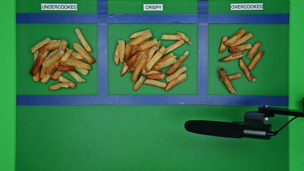 The Dash Compact's 'Frying Quality' test results